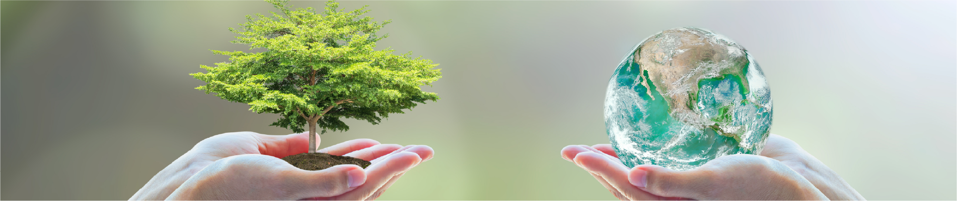 Çevre Sağlığı ve Çevresel Risk Yönetimi Teknikerliği